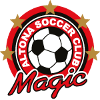 t logo